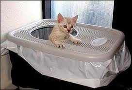 Hide Litter Boxes In Your Home