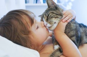 Cats Benefit People's Mental Health