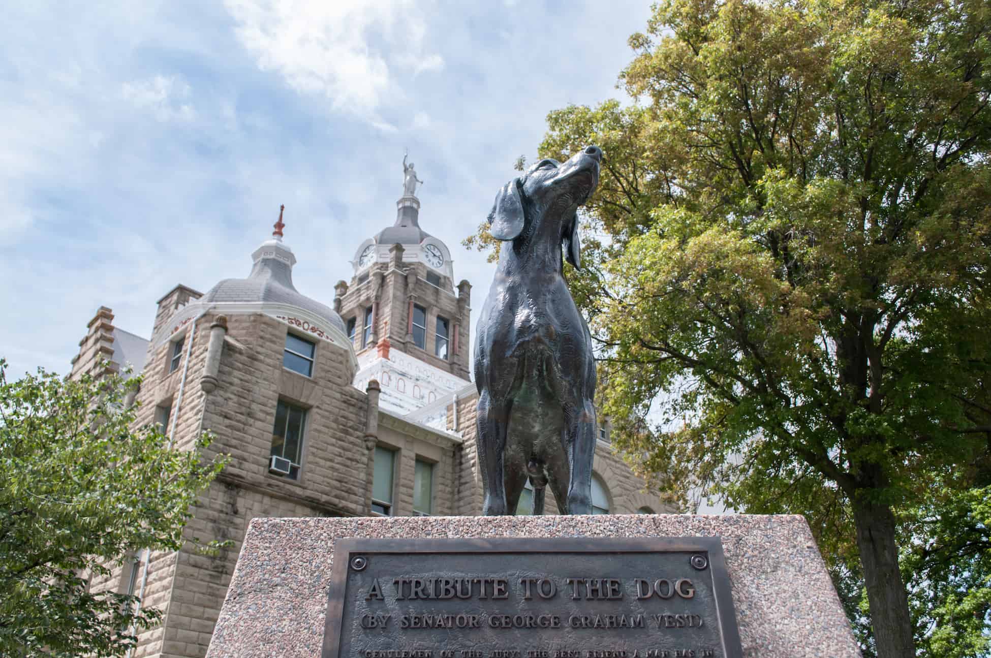 Pet Resources Warrensburg Sedalia Cats at Home Pet Sitting