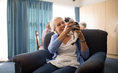 Cat Friendly Assisted Living