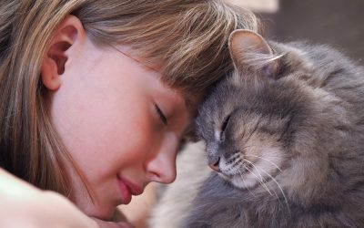 First Time Cat Owners