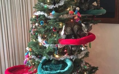Holiday Travel Cat Christmas Tree