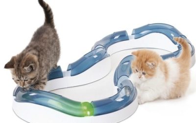 5 Popular Cat Products We Shouldn’t Live Without