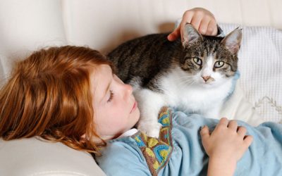 Adding Four- Legged Family Member