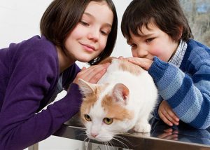 pet cat with boy & girl