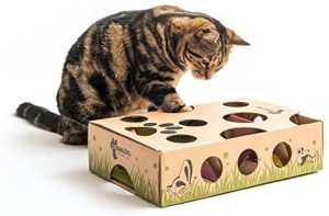 Cat Exercise Hidden Treat Puzzle box