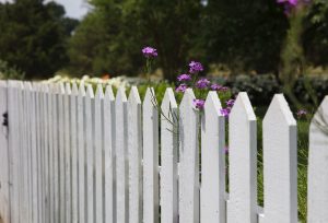 A fenced-off flowerbed for creating a pet-friendly yard