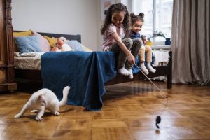 Two girls sitting on a bed and playing with a white cat.