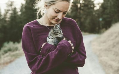 Considerations Cat Owners Moving Larger Home